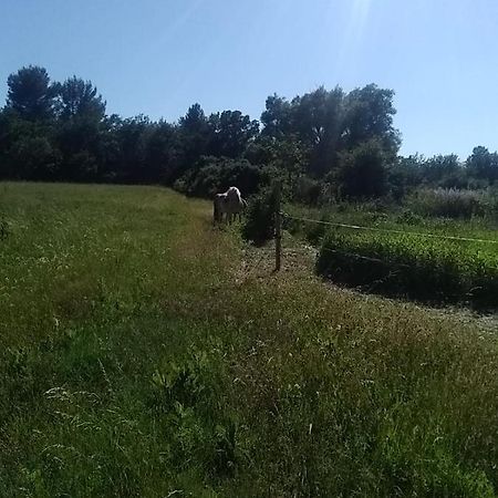 أوبس Maison Individuelle 5 Couchages Dans Ferme Equestre المظهر الخارجي الصورة
