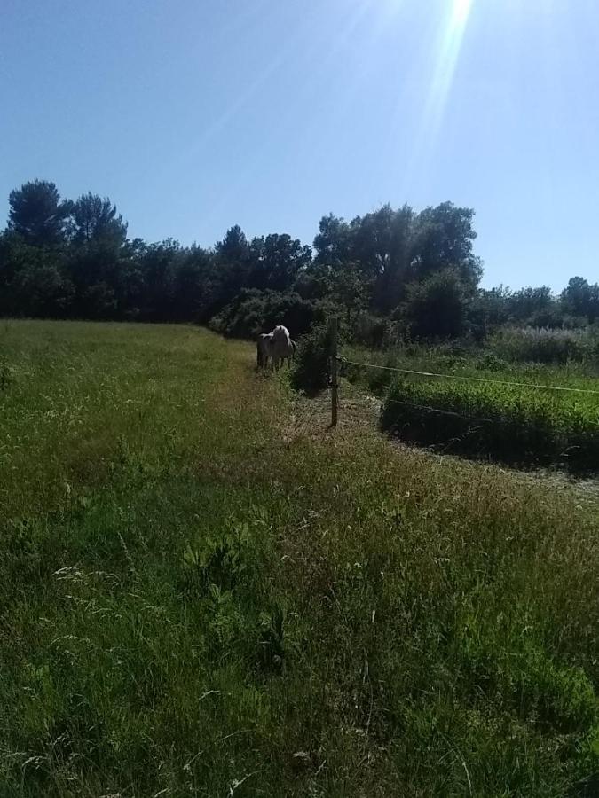 أوبس Maison Individuelle 5 Couchages Dans Ferme Equestre المظهر الخارجي الصورة